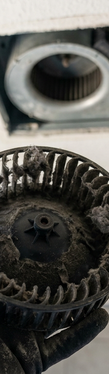 A person holding a dirty bathroom exhaust fan blower wheel covered in dust and lint.