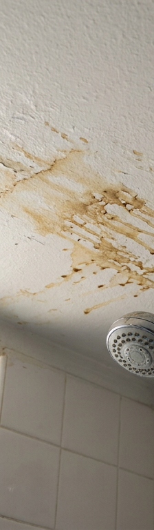 Brown spots and rusty-looking streaks on a white bathroom ceiling caused by surfactant leaching.