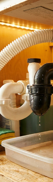 Garbage disposal unit under a kitchen sink connected to a dishwasher drain hose
