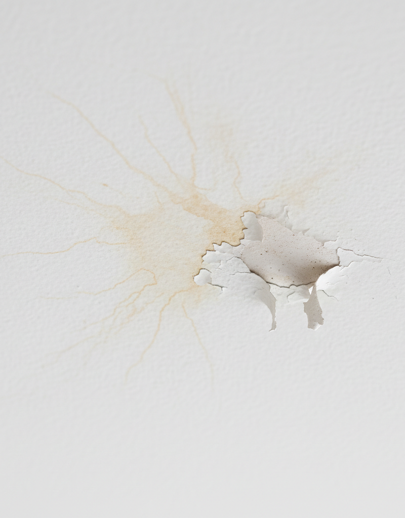 Subtle water stain and peeling paint on a white ceiling, indicating a hidden roof leak.