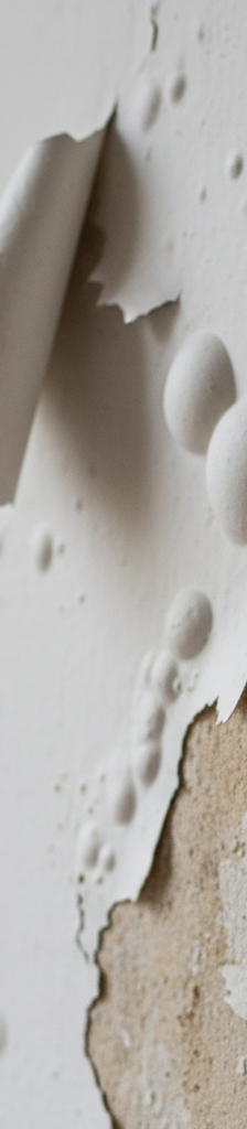 Close-up of interior wall paint peeling and bubbling, showing drywall underneath
