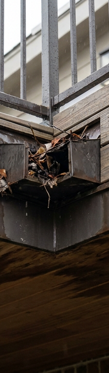 A leaking roof deck corner showing water damage on the ceiling below, with focus on clogged scupper drain.