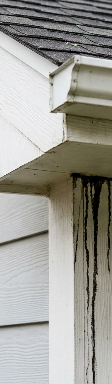 Dark black algae stains running down the side of a house with light gray siding, originating from the roofline.