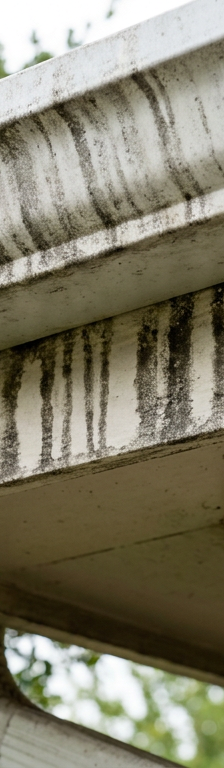 Close-up of ugly black streaks, known as tiger striping, on a white rain gutter.
