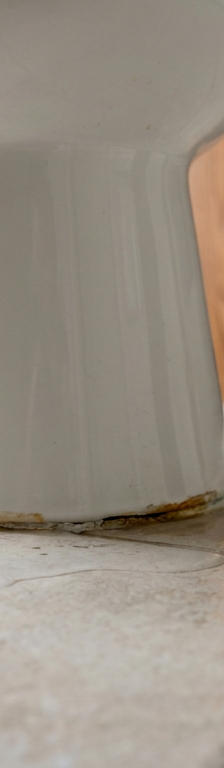 A pool of water leaking from the base of a toilet, indicating a failed wax ring seal.