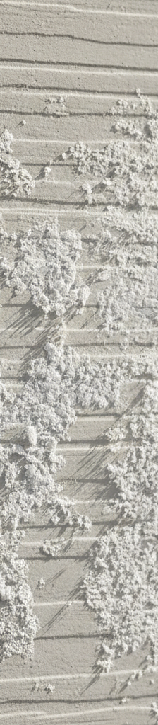 Close-up of white powdery efflorescence on a fiber cement siding panel