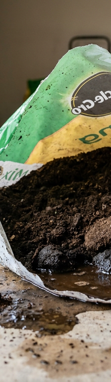 A close-up of a torn bag of wet, smelly potting soil that has gone anaerobic.